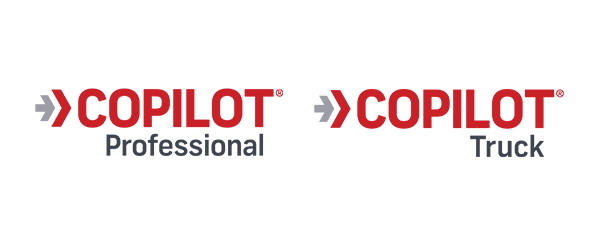 CoPilot Professional - Users